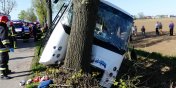 Autobus PKS Elblg uderzy w drzewo, osiem osb rannych