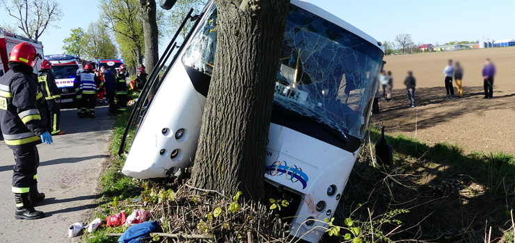 Autobus PKS Elblg uderzy w drzewo, osiem osb rannych