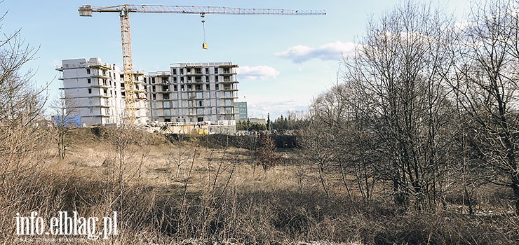 Miasto chce sprzeda duy teren przy ul. Krlewieckiej. Ratusz: "Mielimy ju zapytania o t nieruchomo"