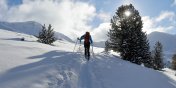 Buty narciarskie Fischer – idealny komfort i parametry na stoku