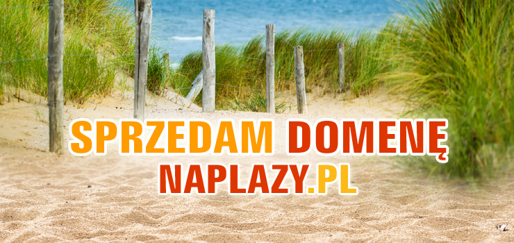 Sprzedamy domen naplazy.pl