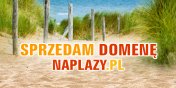 Agencja Reklamowa oferuje do sprzeday domen naplazy.pl 