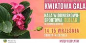 Kwiatowa Gala w Elblgu. Wstp na kiermasz rolin doniczkowych bdzie darmowy