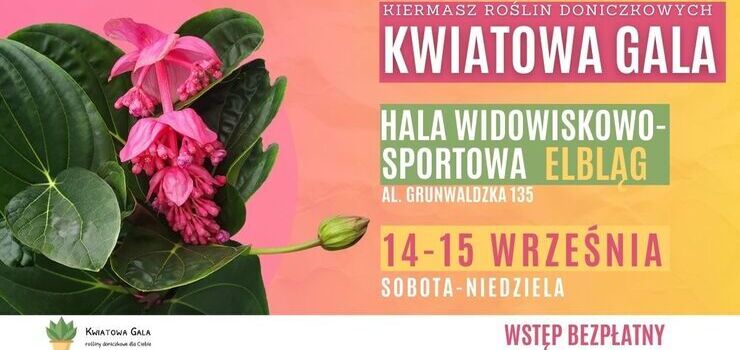 Kwiatowa Gala w Elblgu. Wstp na kiermasz rolin doniczkowych bdzie darmowy