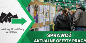 Aktualne Oferty Pracy