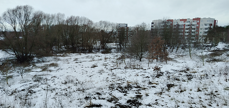 Jedna z dro�szych dzia�ek w Elbl�gu zmieni si� w osiedle? Deweloper czeka na decyzj� urz�dnik�w