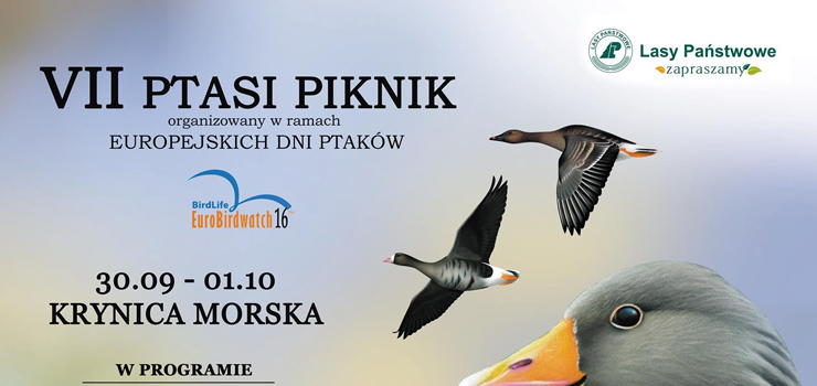 Nadleśnictwo Elbląg zaprasza na Ptasi Piknik w Krynicy Morskiej