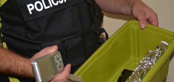 Stegna: 700 gram amfetaminy i innych narkotyków znaleziono u 3 mieszkańców