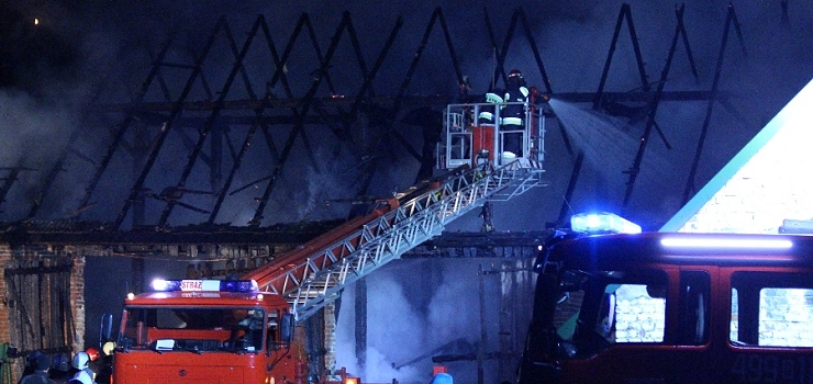 Pożar w Stegnie. Doszczętnie spłonął budynek gospodarczy (zobacz zdjęcia)