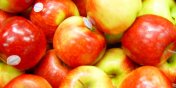 Kolejna porcja jabłek dla mieszkańców powiatu nowodworskiego