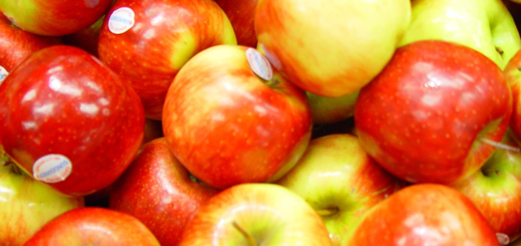 Kolejna porcja jabłek dla mieszkańców powiatu nowodworskiego