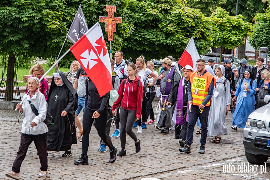 XXX Elblska Pielgrzymka Piesza. Wierni id na Jasn Gr, fot. 19