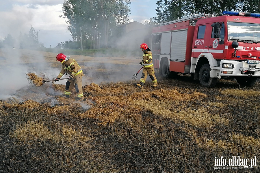 Poar maszyny rolniczej, ryska somy i zboa na pniu - Lipowina gm. Braniewo, fot. 8