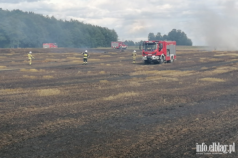 Poar maszyny rolniczej, ryska somy i zboa na pniu - Lipowina gm. Braniewo, fot. 11