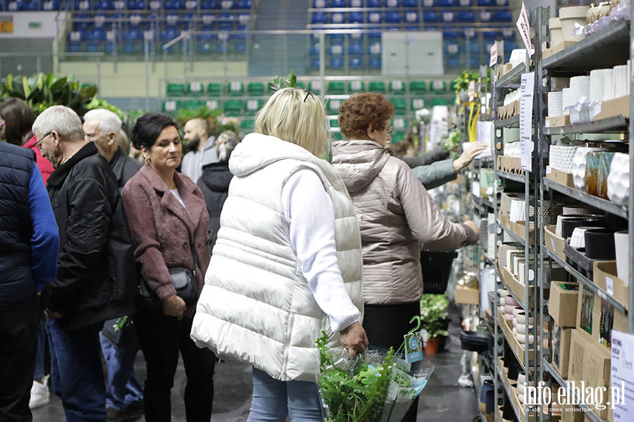  Kilka tysicy elblan przybyo na Festiwal Rolin, fot. 32