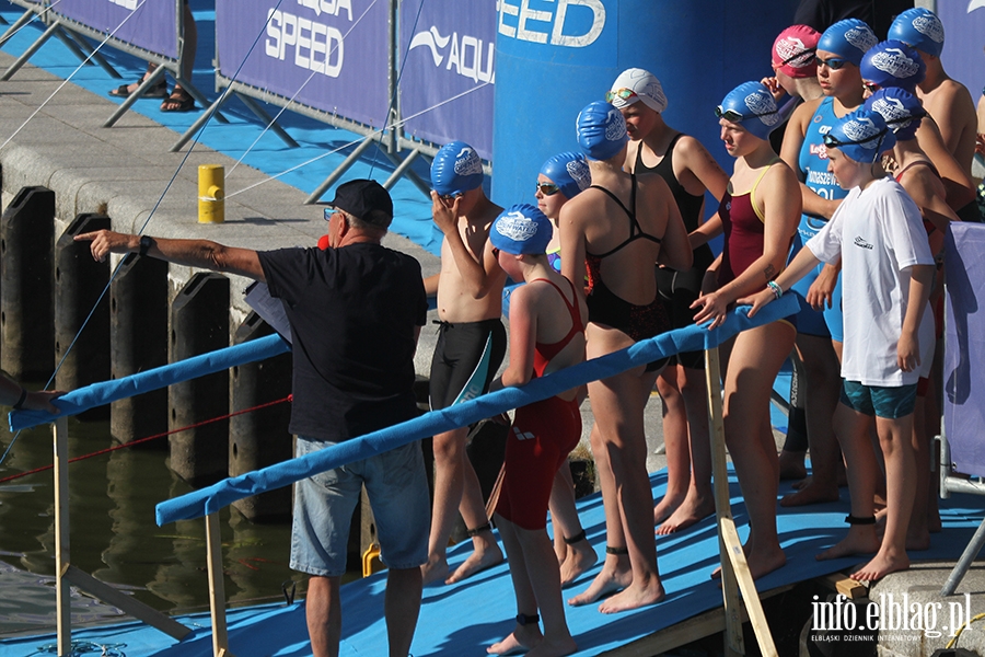 Aqua Speed Open Water Series w Elblgu, fot. 12