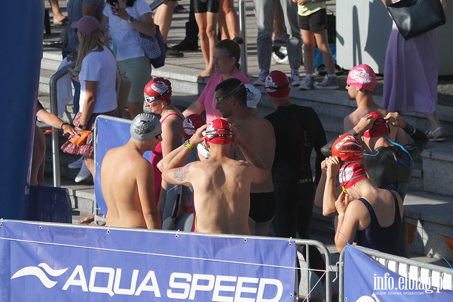 Aqua Speed Open Water Series w Elblgu, fot. 48