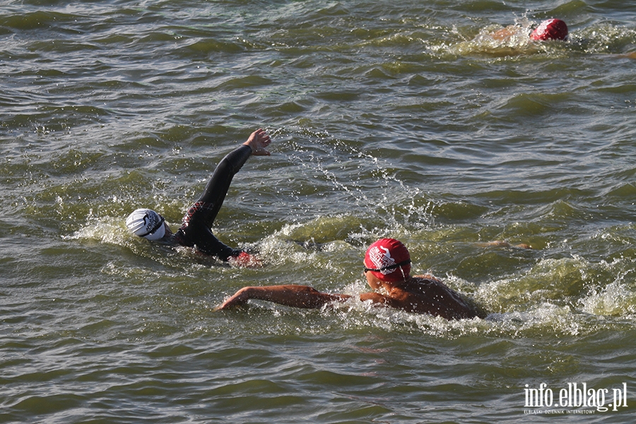 Aqua Speed Open Water Series w Elblgu, fot. 62