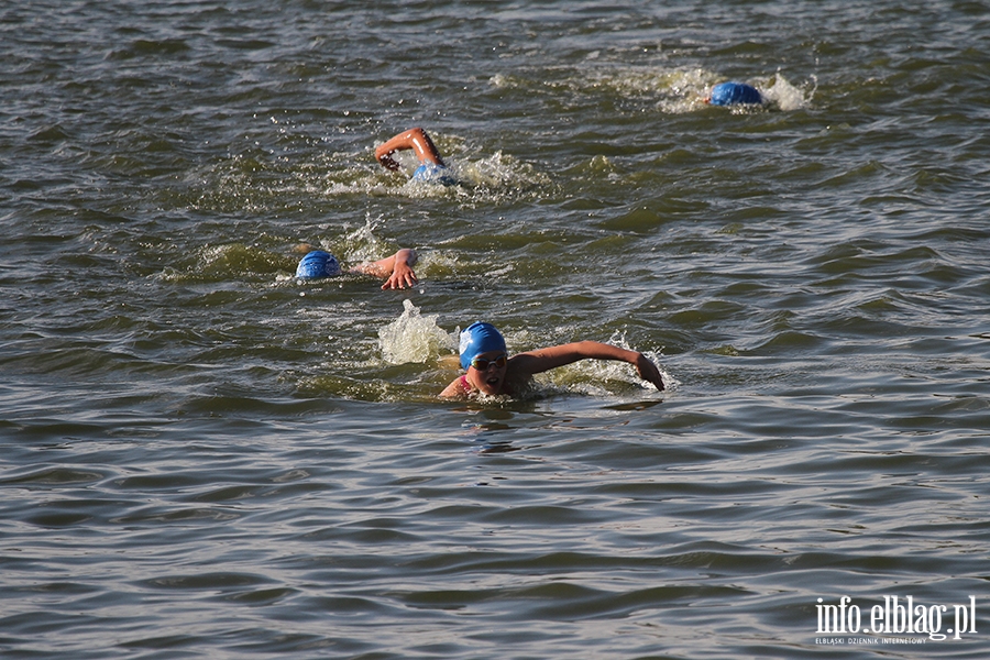 Aqua Speed Open Water Series w Elblgu, fot. 65