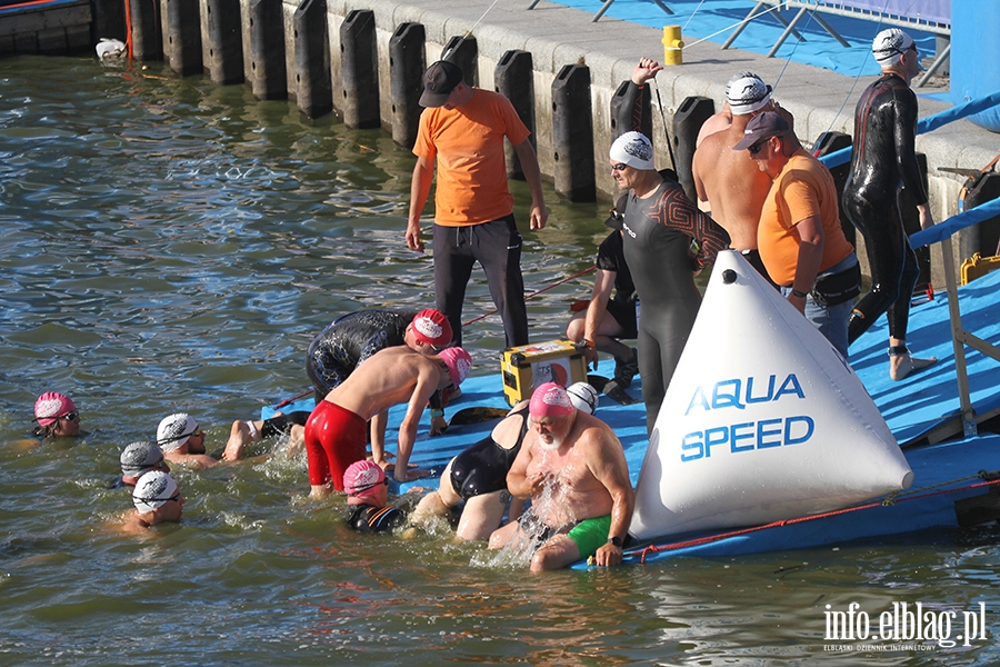 Aqua Speed Open Water Series w Elblgu, fot. 68