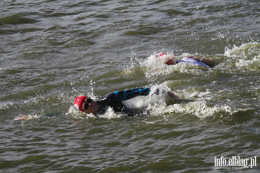 Aqua Speed Open Water Series w Elblgu, fot. 76