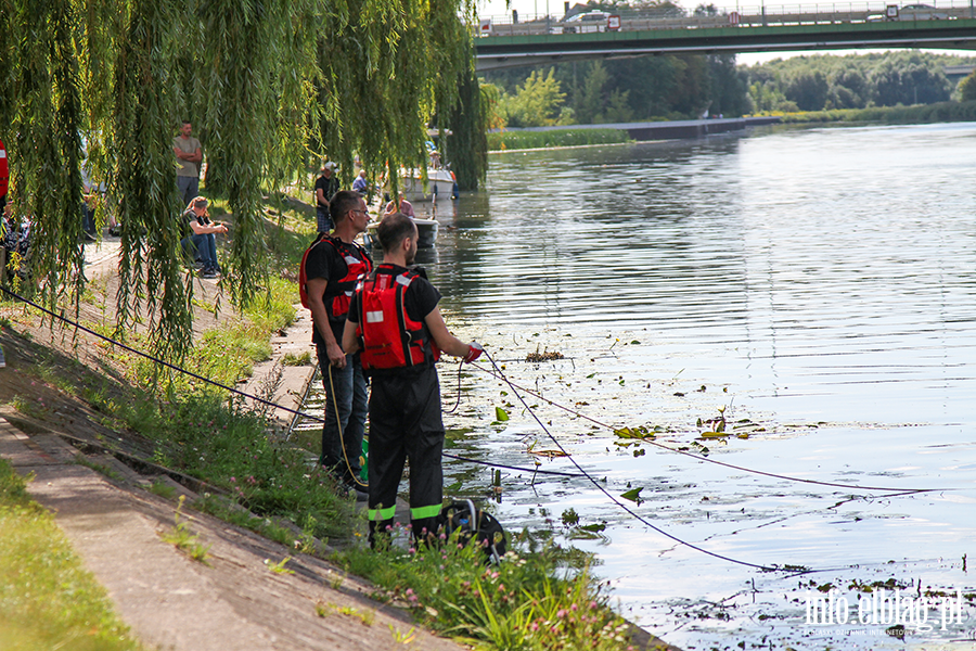 Akcja wydobycia dwch aut z rzeki Elblg. Policja chce ustaliwacicielipojazdw, fot. 29