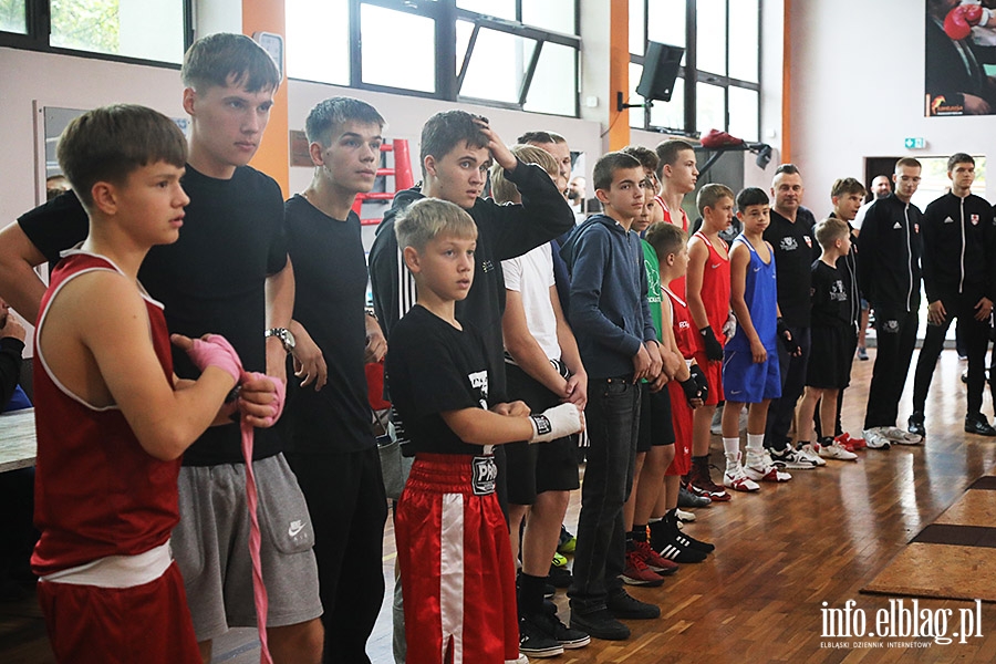 KSW Tygrys - Sparingi, fot. 19