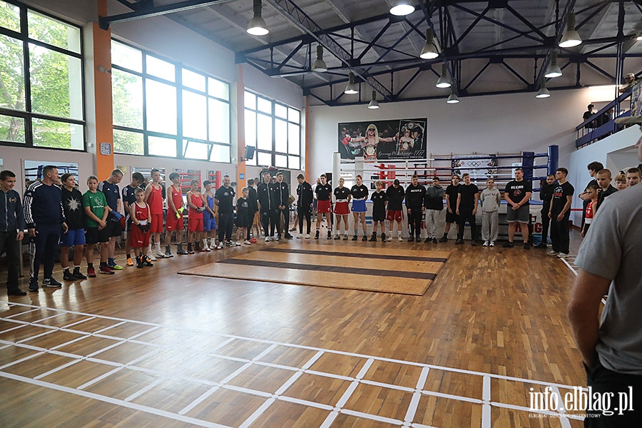 KSW Tygrys - Sparingi, fot. 20