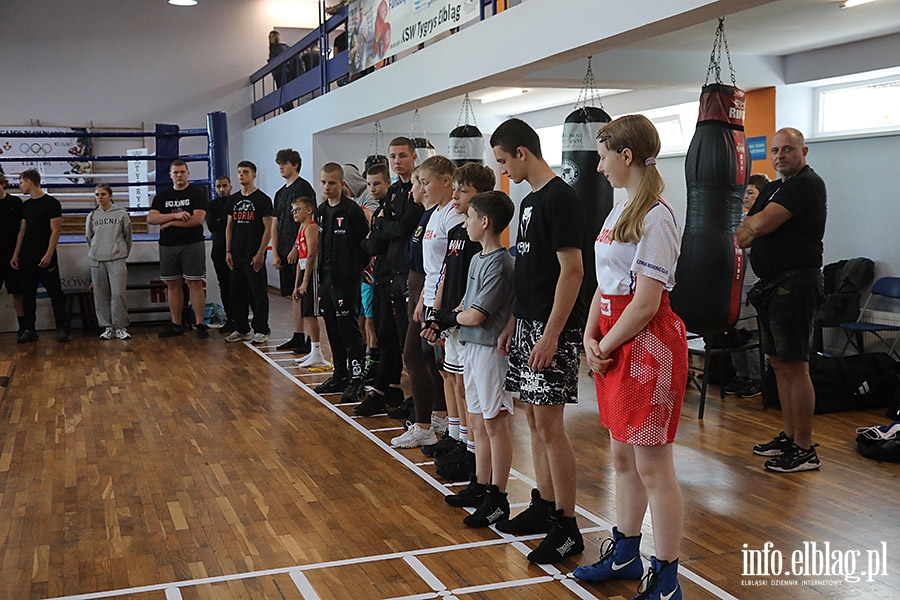 KSW Tygrys - Sparingi, fot. 21