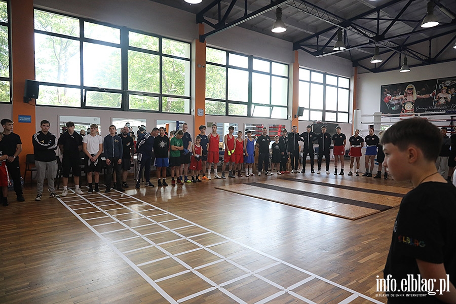 KSW Tygrys - Sparingi, fot. 24