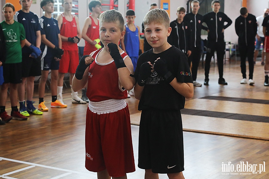 KSW Tygrys - Sparingi, fot. 26