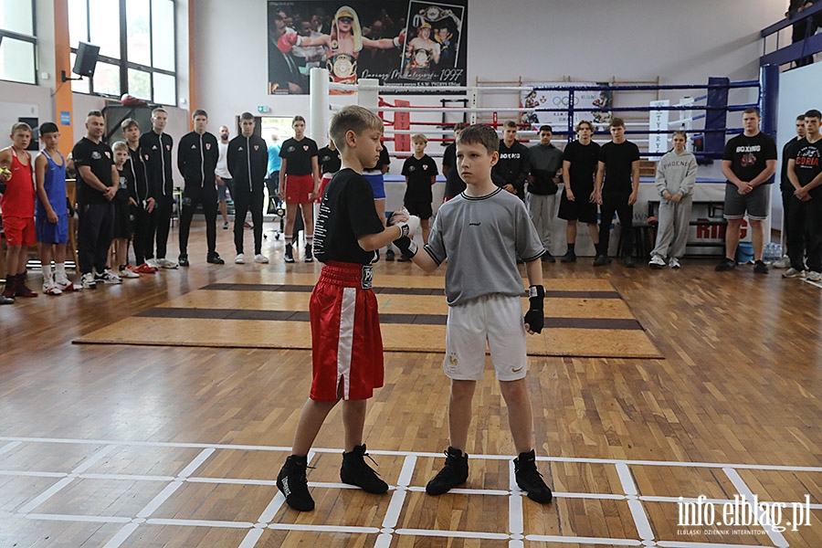 KSW Tygrys - Sparingi, fot. 27