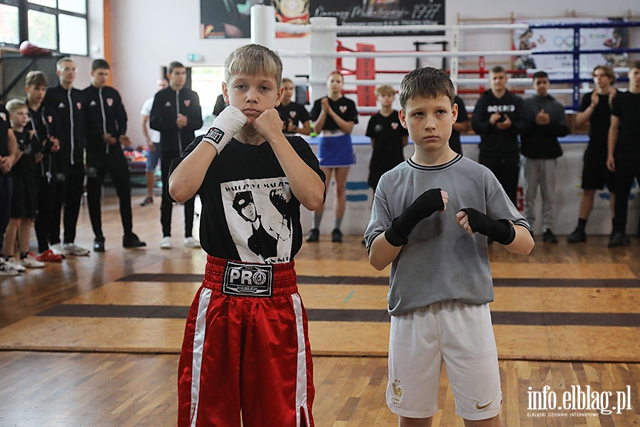 KSW Tygrys - Sparingi, fot. 28