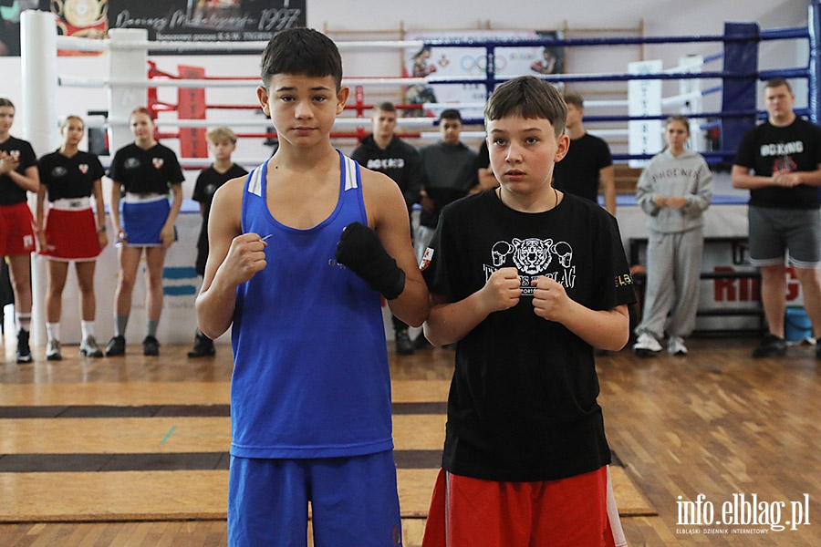 KSW Tygrys - Sparingi, fot. 29