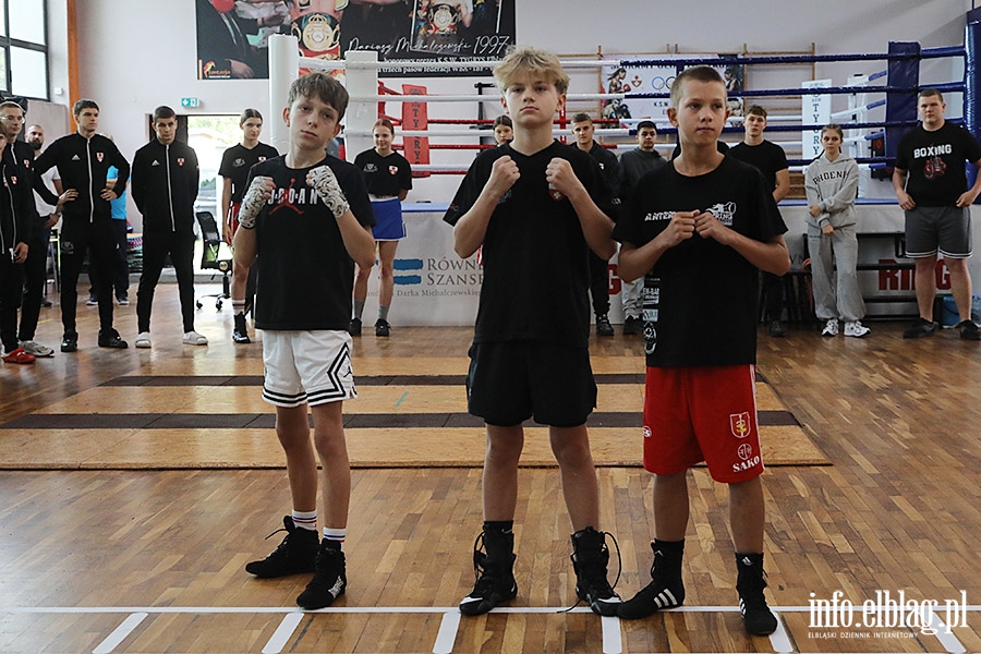 KSW Tygrys - Sparingi, fot. 32