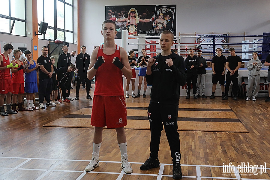 KSW Tygrys - Sparingi, fot. 34