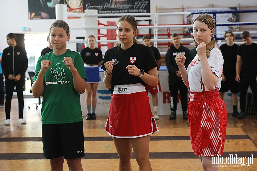 KSW Tygrys - Sparingi, fot. 36