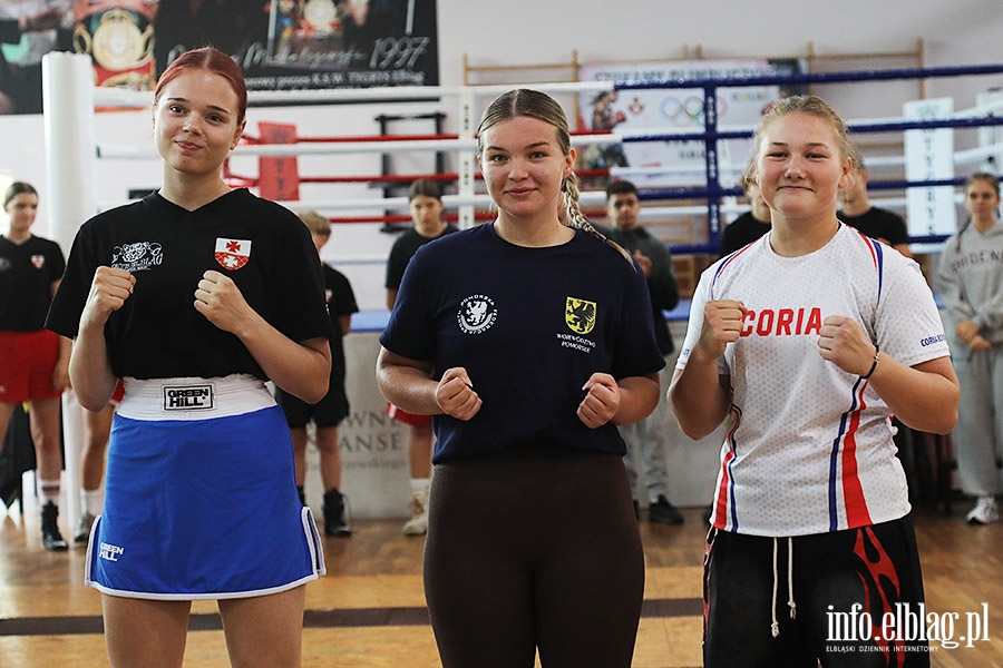 KSW Tygrys - Sparingi, fot. 37