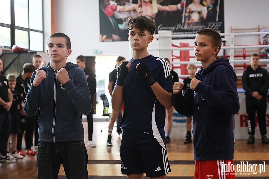 KSW Tygrys - Sparingi, fot. 38