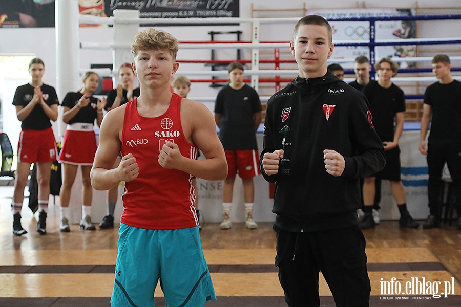 KSW Tygrys - Sparingi, fot. 48