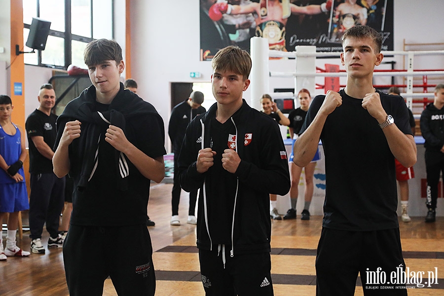 KSW Tygrys - Sparingi, fot. 49