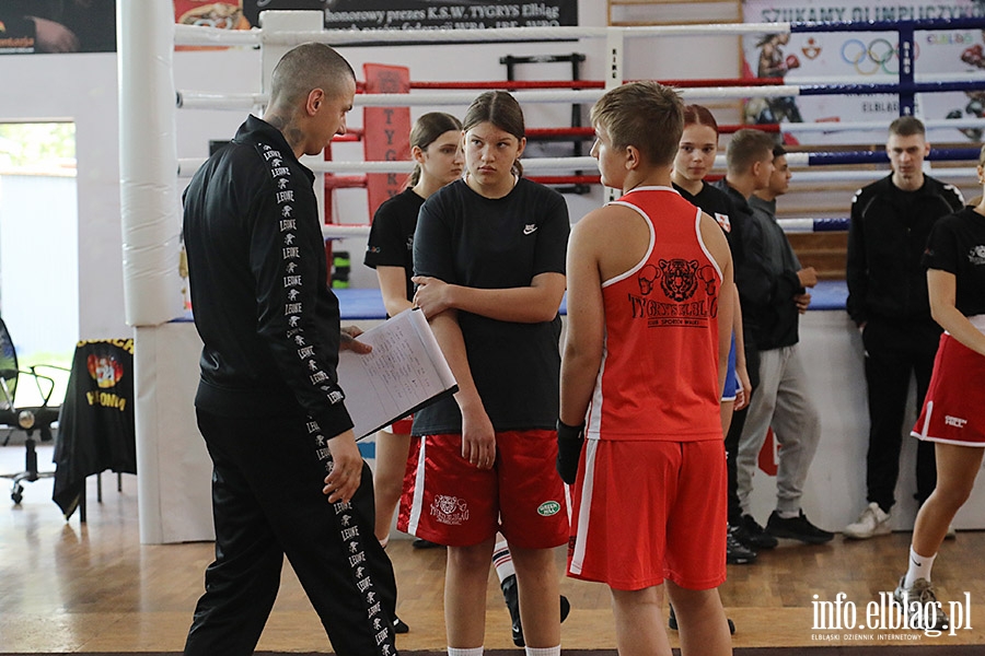 KSW Tygrys - Sparingi, fot. 50