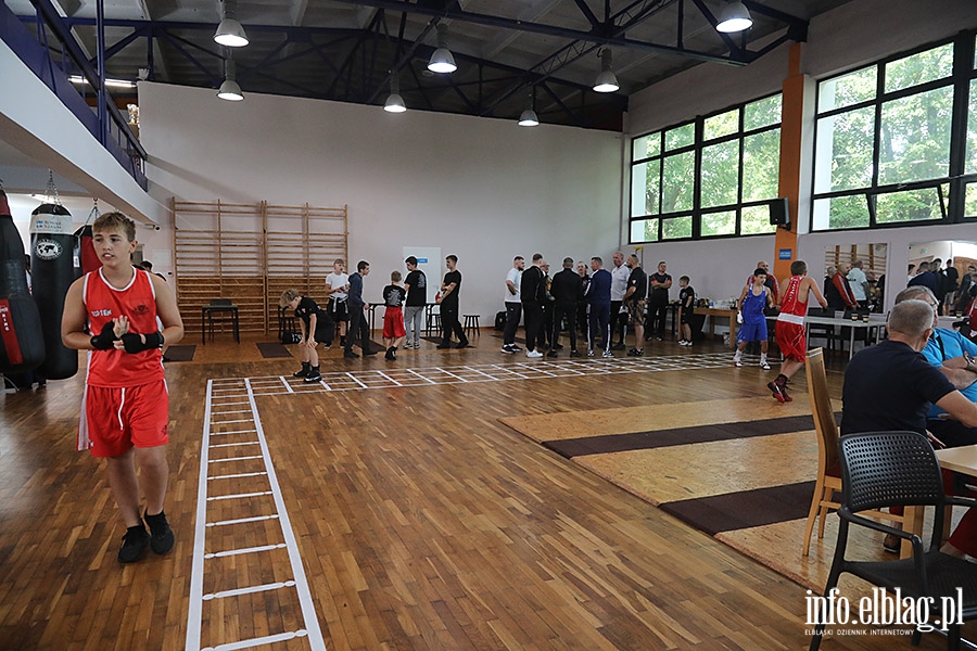 KSW Tygrys - Sparingi, fot. 51