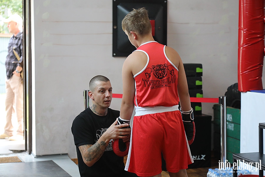 KSW Tygrys - Sparingi, fot. 55