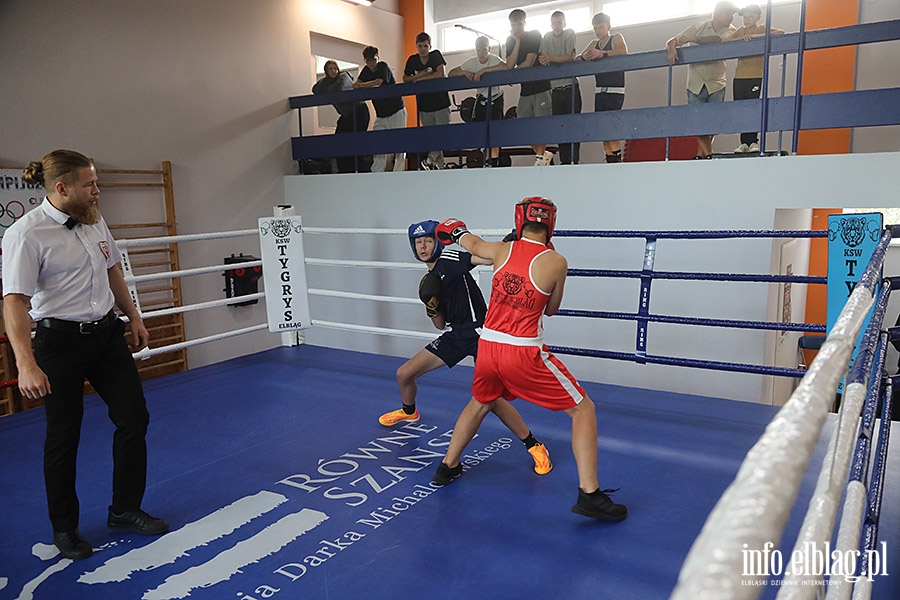 KSW Tygrys - Sparingi, fot. 60