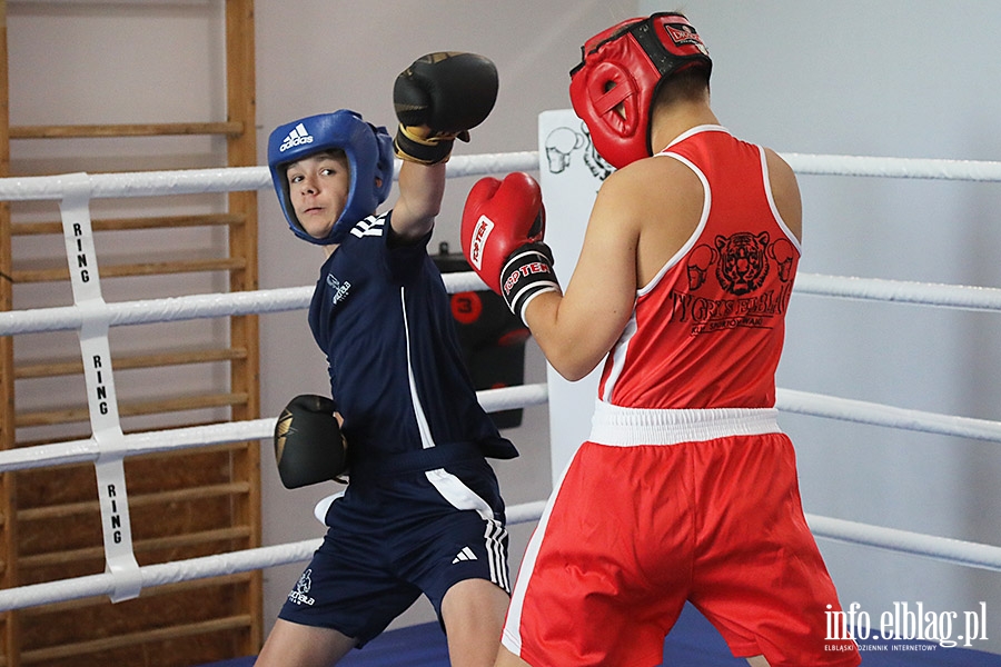 KSW Tygrys - Sparingi, fot. 61