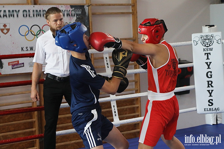 KSW Tygrys - Sparingi, fot. 62