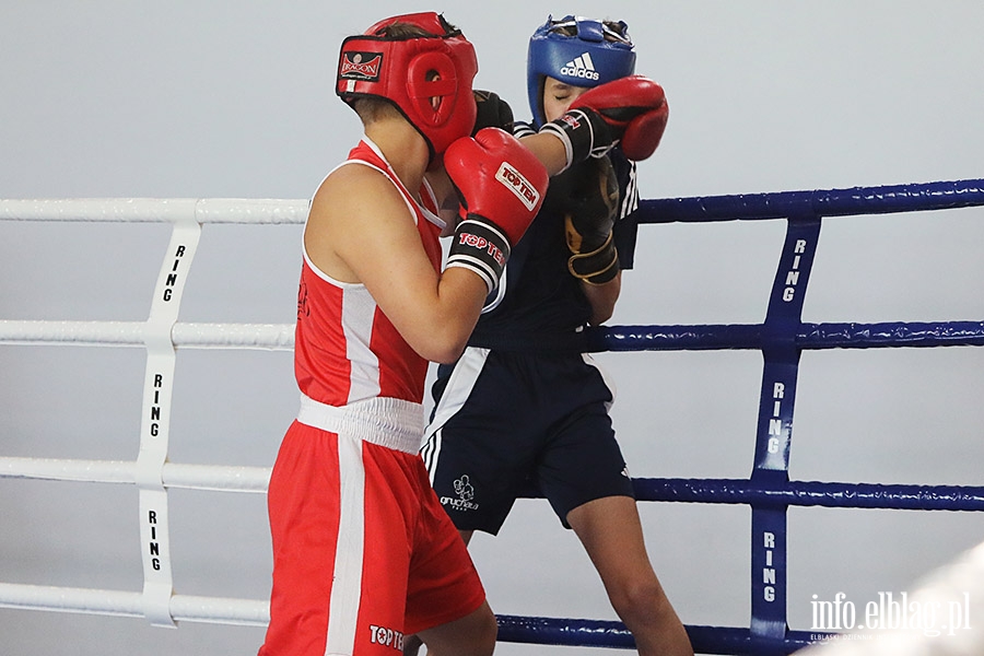 KSW Tygrys - Sparingi, fot. 63