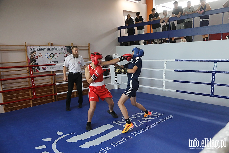 KSW Tygrys - Sparingi, fot. 65