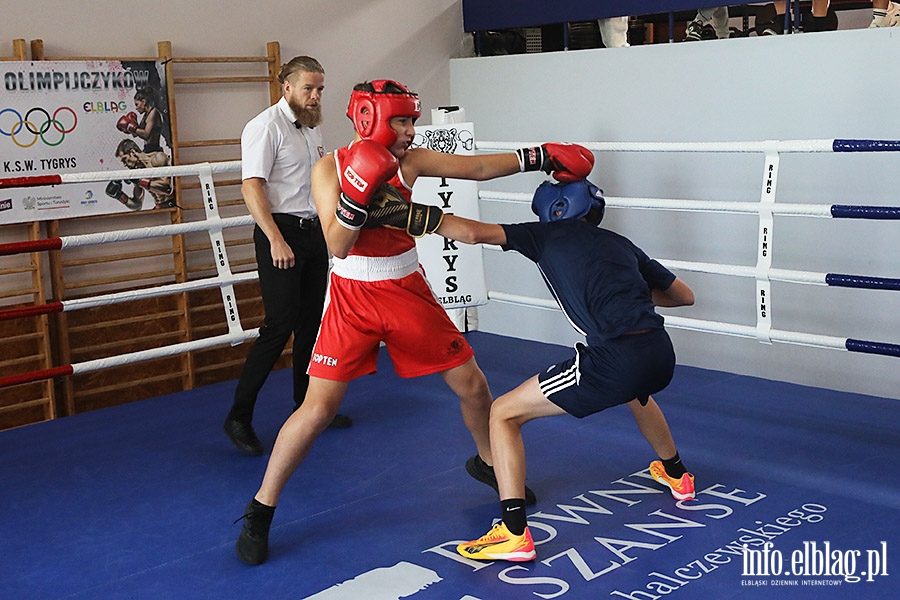 KSW Tygrys - Sparingi, fot. 66